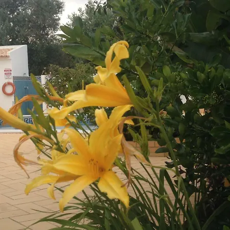 Apartamento Vilabranco Albufeira